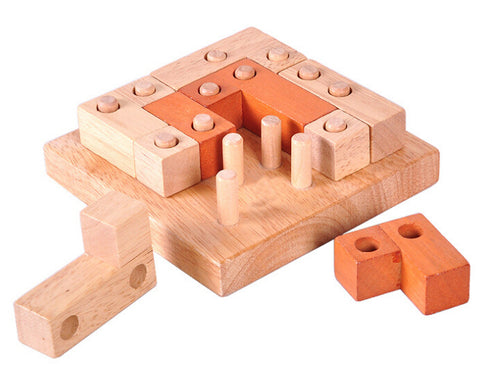 Classic IQ Puzzle Mind Brain