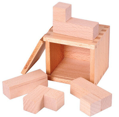Classic IQ Puzzle Mind Brain