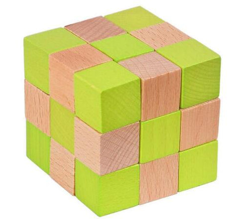 Classic IQ Puzzle Mind Brain