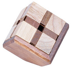 Classic IQ Puzzle Mind Brain